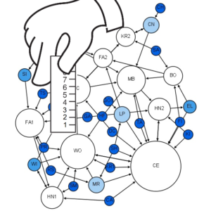 Measuring a Network