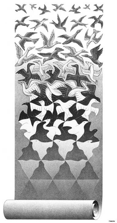 Escher Liberation