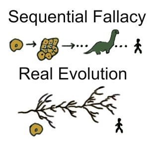 Evolution