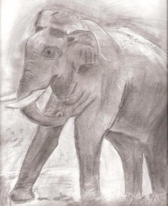 elephantSmall