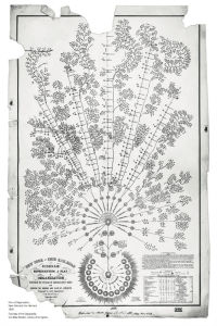 orgchart-full