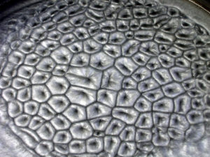 8b10.40c