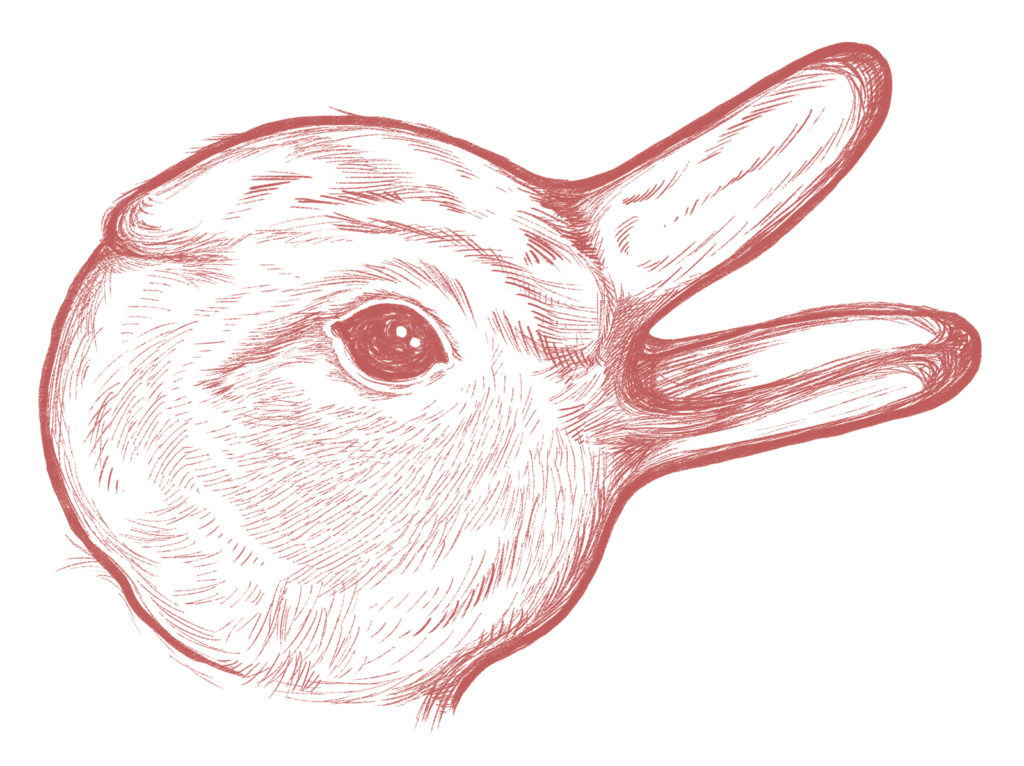 Duck-Rabbit Duality