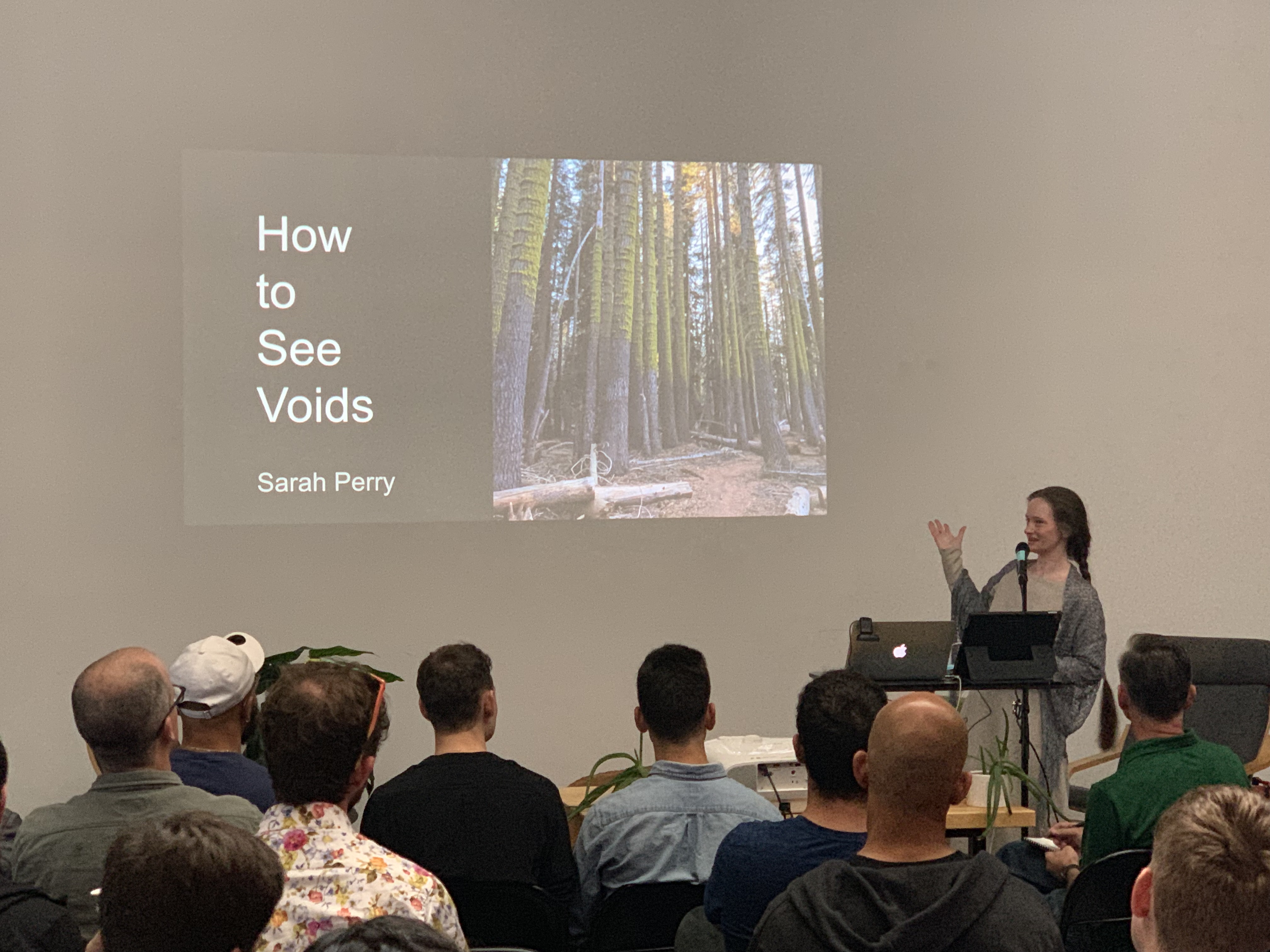 Sarah Perry presenting How to See Voids